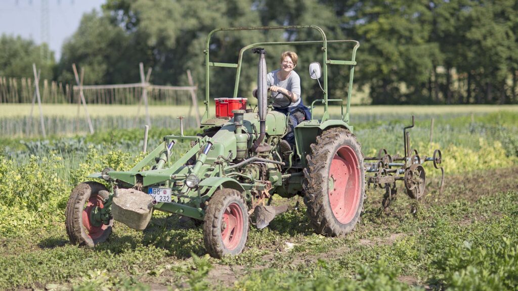 Biogemüse Dramfeld: Feldarbeit mit Traktor