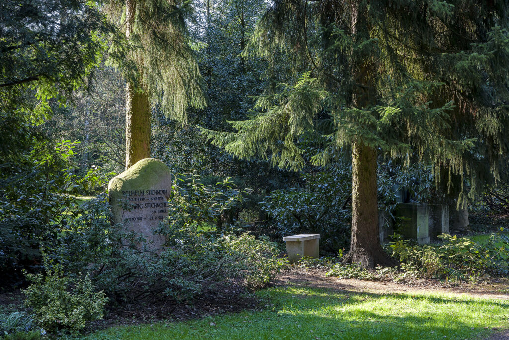 Himmlische Beleuchtung auf dem Stadtfriedhof Göttingen