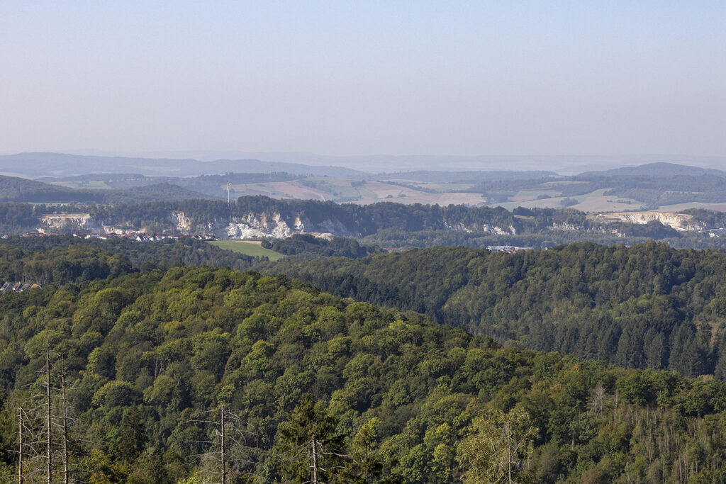 Blick auf Gipsfelsen bei Osterode