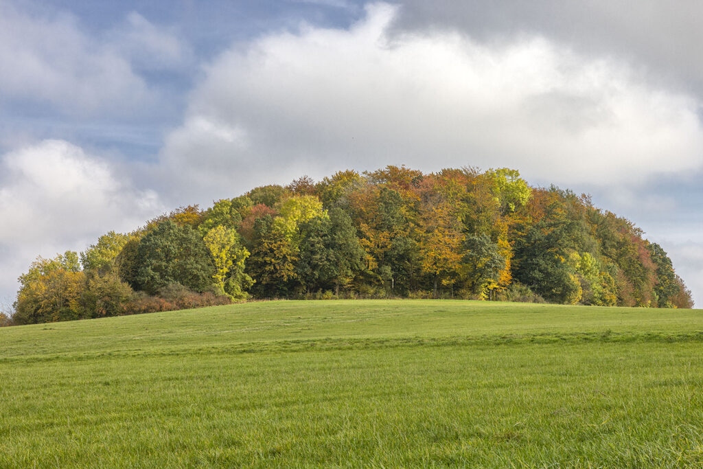 Herbst 2024: Nüll, Hörden