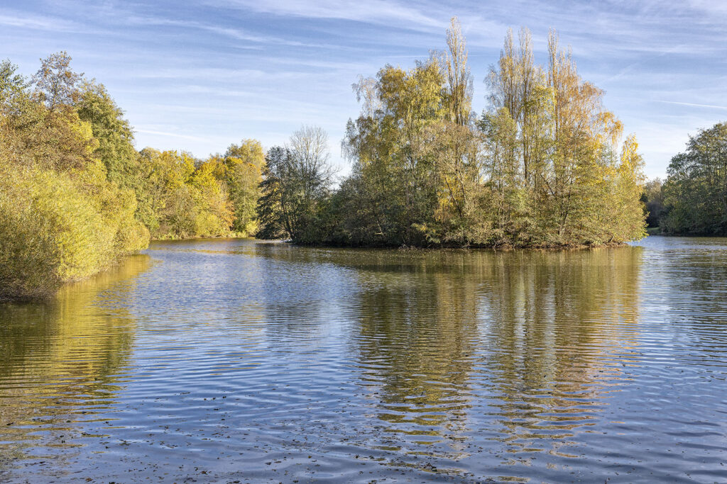 Herbst 2024 am Oderparksee