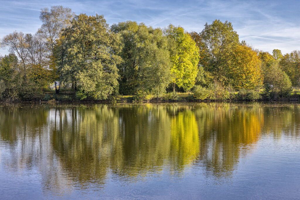 Herbst 2024 am Oderparksee