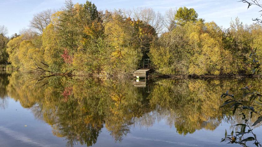 Herbst 2024 am Oderparksee