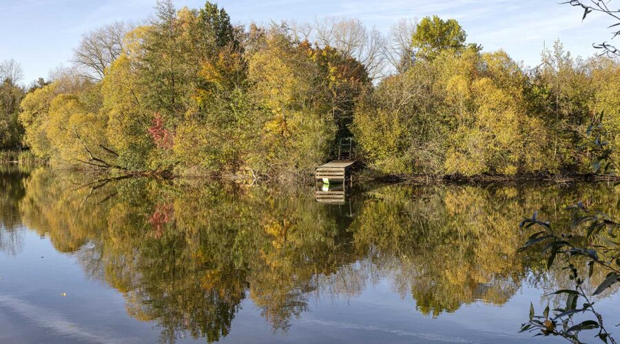 Herbst 2024 am Oderparksee