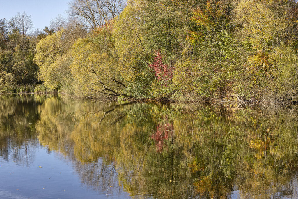 Herbst 2024 am Oderparksee